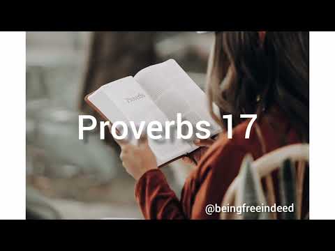 Proverbs 17 | The Passion Translation Audio