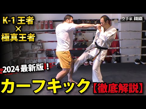 【最新テクニック】K-1無差別級王者と蹴り方＆対策を徹底解説【マハムード･サッタリ】