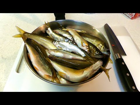 Salt-roasting a bowl full of sweetfish【ENG SUB】