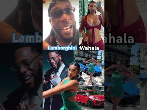 Burnaboy vs Sophia Lamborghini wahala #burnaboy #shorts #shortsfeed