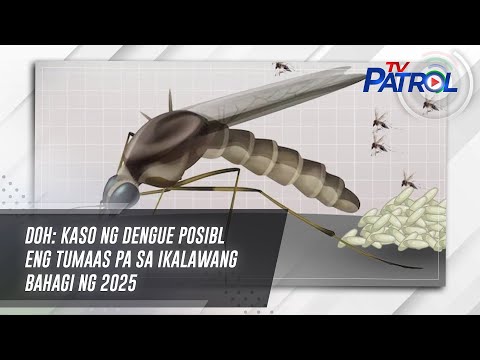 DOH: Kaso ng dengue posibleng tumaas pa sa ikalawang bahagi ng 2025 | TV Patrol