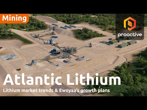 Atlantic Lithium chairman Neil Herbert on Ewoyaa's path to production, lithium market outlook