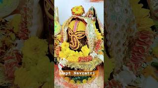 Gupt Navratri pooja..🙏 #guptnavratri #guptnavratri2025 #guptnavratribhajan #youtubeviral #mahakumbh