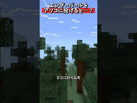 エンダーパールをアソコに投げるとワープする説【マイクラ統合版 検証】 #shorts #マイクラ #マイクラウラ技 #minecraft