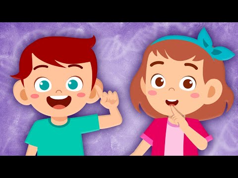 Learn About The Parts Of YOUR Face & More! | Human Body Songs For Kids | KLT Anatomy