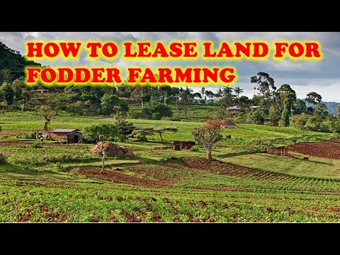 How to Lease Land for Farming