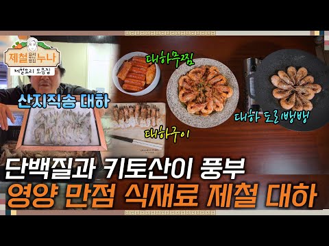 [제철 요리 모음집_시즌1]  단백질과 키토산이 풍부한 대하, 영양 만점 식재료 제철 대하 납시오~ | 제철누나