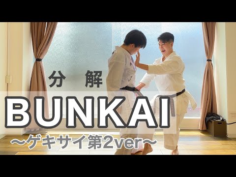 【形 分解】完全版 撃砕IIの分解（GEKISAINOBUNKAI）#karate #kata#空手