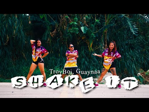 TroyBoi feat. Guaynaa - Shake It TikTok Remix | Dreamstar Crew X Zin Micoro | #trending #tiktokviral