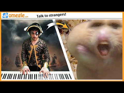 He's a Pirate Pianist on Omegle (EASY to EXPERT but...)