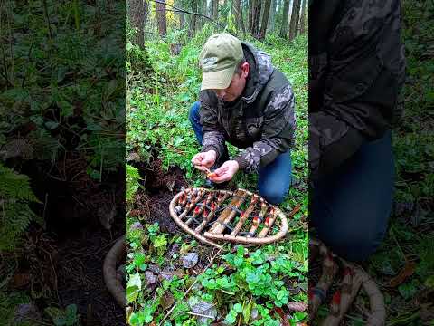 PRIMITIVE HUNTING #diy #trapping #trap #survival