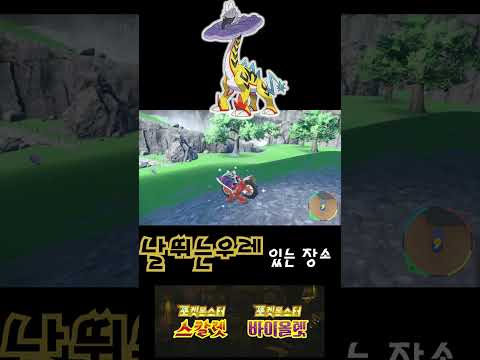 포켓몬스터 스칼렛 날뛰는우레 잡는 곳 #shorts #pokemon #날뛰는우레 #タケルライコ #Raging Bolt