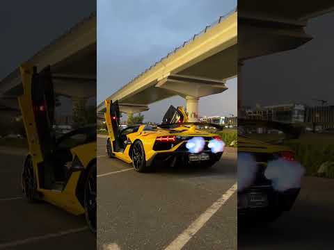 Yellow Lamborghini Aventador SVJ | Lambo | Greece Monkey | Supercars of India