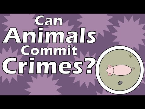 Can Animals Commit Crimes?