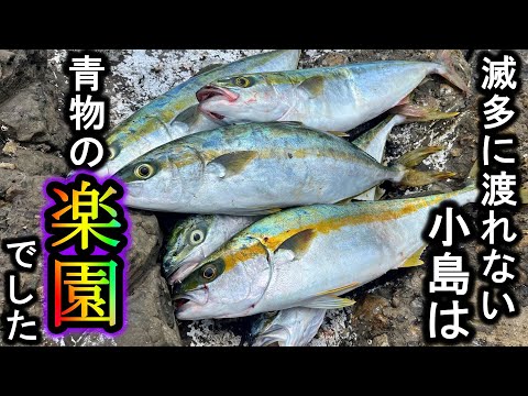 魚の量が異常…ベタ凪でしか渡れない小島でのショアジギングは釣れすぎて腕が壊れます