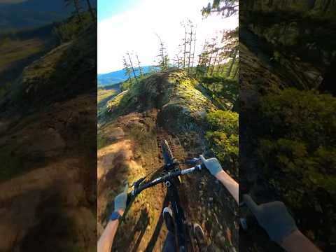 I rode in MTB Dreamland! Underrated! #mountainbiking #pov