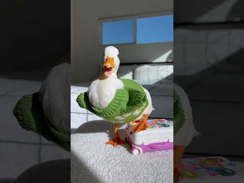 Duck Dancing #shorts #tiktok #trending