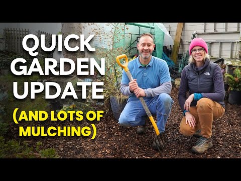 January Garden Update: Mulching, Maintenance & More!