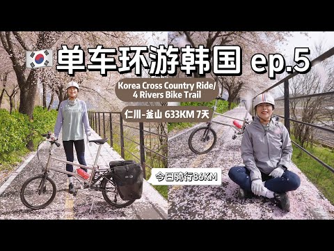 【单车环游韩国Ep.05】今日骑行86公里, 行程过半一路向南, 谁知樱花落满地｜Korea Cross Country Ride | 4 Rivers Bike Trail