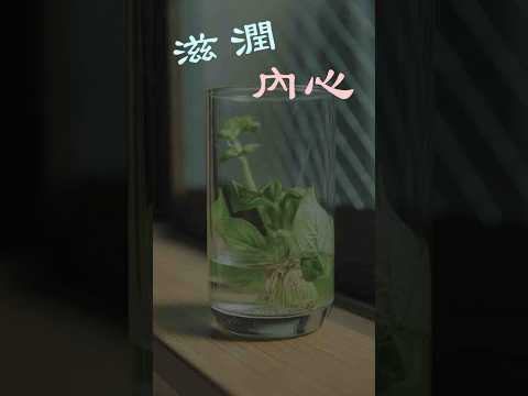 心靈養分：每日三句滋養你的內在！