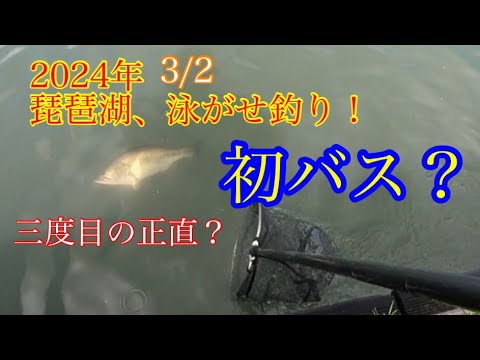 2024年3月2日【初バス？】#琵琶湖 #琵琶湖バス釣り #ブラックバス #ロクマル#泳がせ釣り