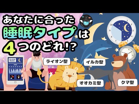 遺伝で決まる４つの睡眠タイプ【クロノタイプ】