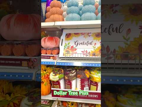 Dollar Tree Plus Fall Pumpkin Decor