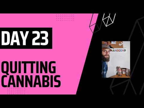 Day 23: Quitting Cannabis - Identifying with a Wolf Spirit, Challenging Uncomfortable Emotions