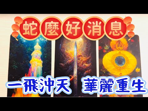 塔羅占卜🔮蛇麼好消息?整體運勢分析：感情 事業 財運