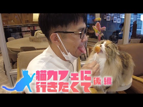 猫カフェに行きたくて！後編