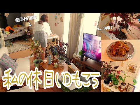 最近の休日の過ごし方🪴⎮過ごしやすく快適な部屋にする⎮模様替え⎮賃貸インテリア⎮自炊⎮観葉植物の植え替え⎮一人暮らしの日常vlog