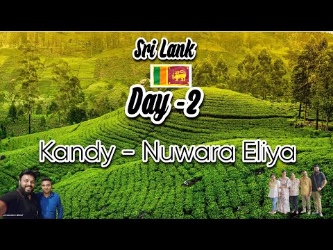 🇱🇰 Sri Lanka Day 2|  Exploring Kandy | Nuwara Eliya Adventures! ✨|