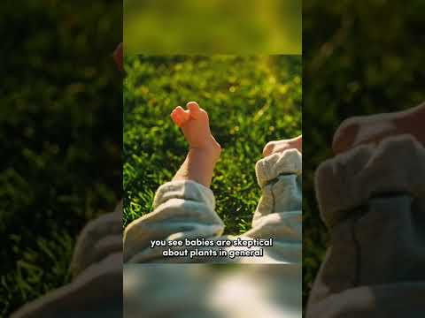 Why Babies Fear Grass