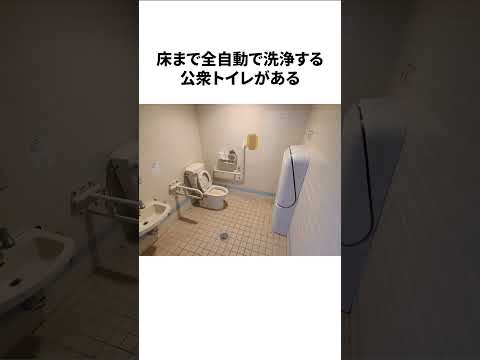 パリの公衆トイレに関する雑学#トイレ #リフォーム#パリ