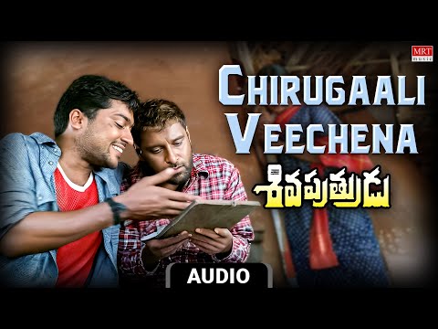 Surya Special Song | Chirugaali Veechena Audio Song |Shiva Putrudu| Vikram, Laila, Surya, Sangeetha