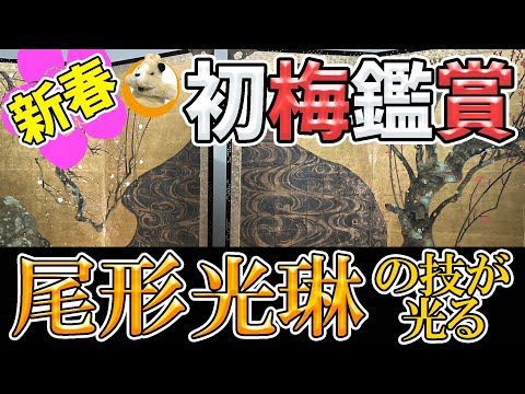 【尾形光琳のダメダメ人生】俵屋宗達への尊敬と挑戦！今でも愛される光琳STTLEの魅力に迫る！