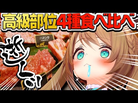 【初見さん歓迎/実写】お久しぶりに、イかせていただきますッッッ♡【こまる/あおぎり高校】