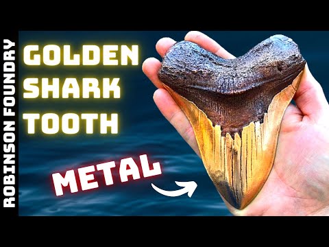 Casting a Bronze Megalodon Tooth │Shark tooth fossil