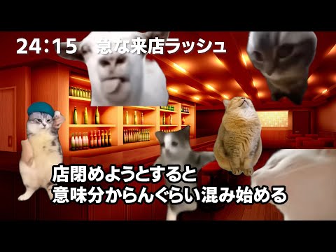 26時間労働するゲイママ兼お花屋兼YouTuberの忙しい１日。【猫ミーム】