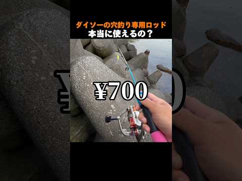 ダイソー穴釣り専用ロッドは本当に使えるのか…？#shorts #ダイソー穴釣りロッド　#ダイソー釣り具