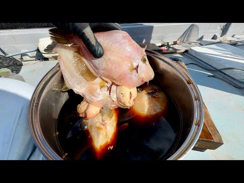 Japanese Fisherman Left Some Freshly Caught Filefish in Soy Sauce for Four Days...