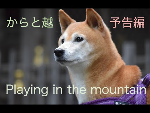 Playing in the mountain 本能寺へと続く道からと越（予告編）