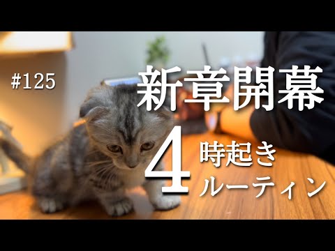 【４時起きルーティン】子猫との新生活スタート【朝活】#125