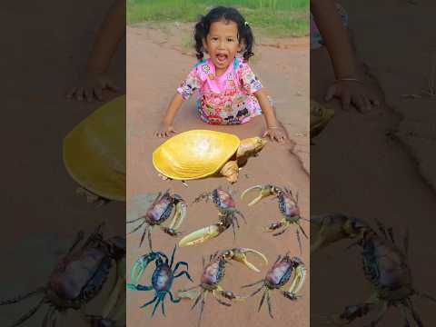 Mama and Daughter Found a lot of Crabs #survival #bushcraft #outdoors #camping