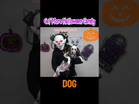 Your dog will get you more candy #halloween #trickortreat #candy y