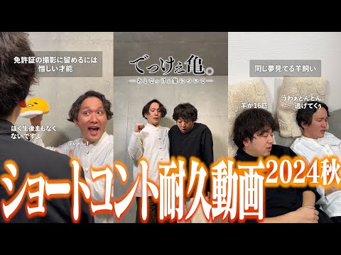 連休はShortsで暇を潰そう!!!!【10秒に1本】