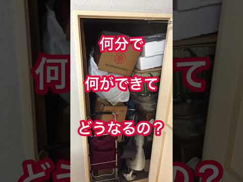 【やってみた】大掃除やめたい家事代行ママスタッフが12ヵ月チャレンジ【分割掃除】#堺市 #家事代行 #shorts #ワーママ