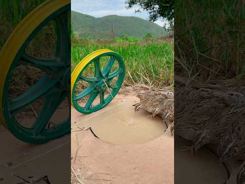 DIY Creative - Create Amazing Quail Trap Using Paper Box And Bicycle #shortsvideo