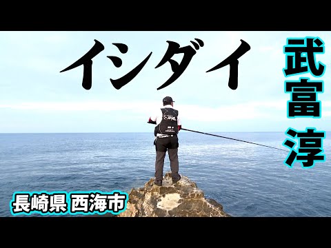 西海市で春ののっこみイシダイ釣り 1/2 『磯釣りギャラリー 武富淳』【釣りビジョン】