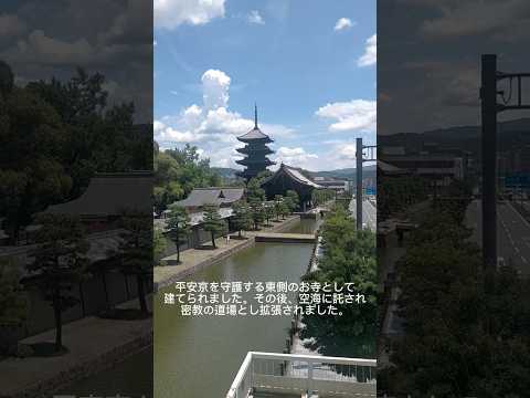 なかなか行かないこの陸橋からのアングル　東寺